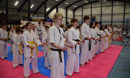 Zdjęcie do Turniej Karate Kyokushin o Puchar Burmistrza Miasta i Gminy Połaniec