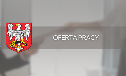 Zdjęcie do Oferta pracy