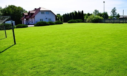 Zdjęcie do Sportowe inwestycje zmieniają Gminę Połaniec. Nowa murawa boiska w Rudnikach już gotowa