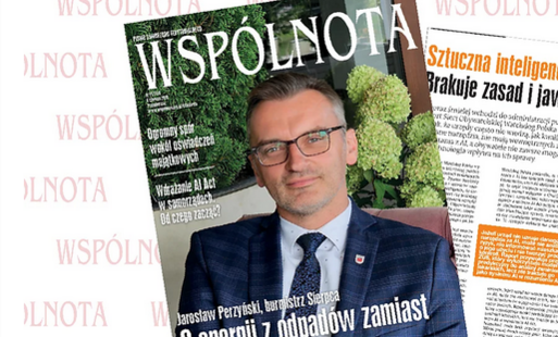 Zdjęcie do Strategia, kt&oacute;ra przyniosła sukces: Jak Połaniec stał się og&oacute;lnopolskim liderem polityki prorodzinnej