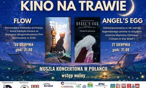 Zdjęcie do Kino na trawie w Połańcu wraca pod gwiazdy