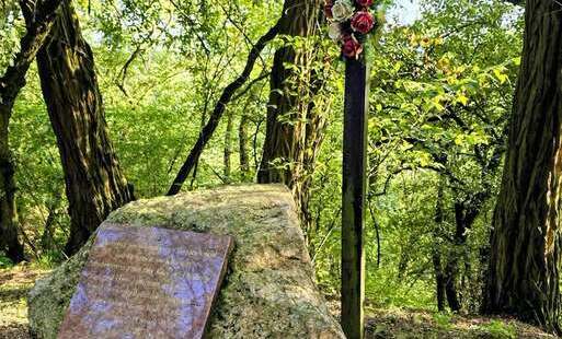 Zdjęcie do Śladami historii i natury w Połańcu