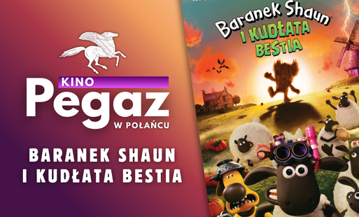 Zdjęcie do BARANEK SHAUN I KUDŁATA BESTIA