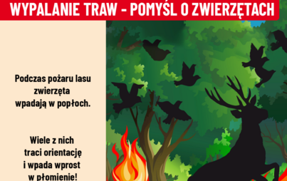 Zdjęcie do &bdquo;Stop pożarom traw&rdquo; na terenie powiatu staszowskiego