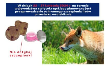 Zdjęcie do Komunikat Świętokrzyskiego Wojew&oacute;dzkiego lekarza weterynarii 