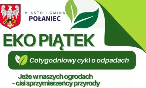 Zdjęcie do Jeże w naszych ogrodach &ndash; cisi sprzymierzeńcy przyrody