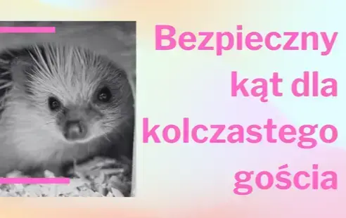 Zdjęcie do Bezpieczny Kąt dla Kolczastego Gościa - zapraszamy na warsztaty ekologiczne