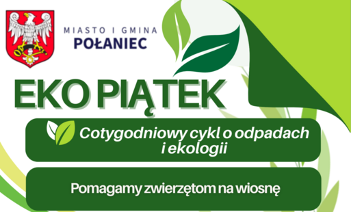 Zdjęcie do Pomagamy zwierzętom na wiosnę&nbsp;