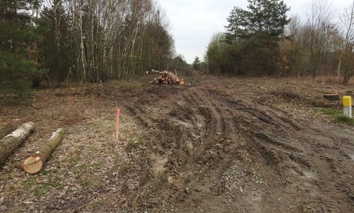 Zdjęcie do Rozpoczęcie prac przygotowawczych pod nową infrastrukturę drogową w obrębie ulicy Krakowskiej w Połańcu
