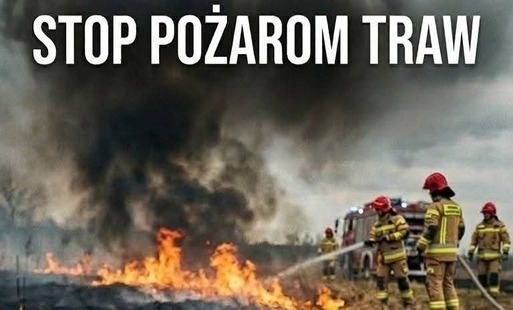 Zdjęcie do Stop wypalaniu traw &ndash;reaguj i zapobiegaj!