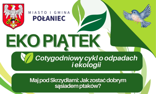 Zdjęcie do Maj pod Skrzydłami: Jak zostać dobrym sąsiadem ptak&oacute;w?