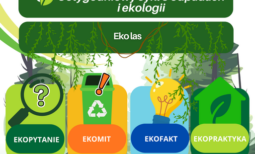 Zdjęcie do EKO w lesie