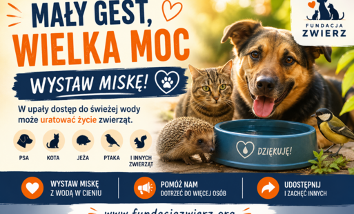 Zdjęcie do Mały gest, wielka moc - prosimy o wsparcie kampanii na rzecz zwierząt podczas upał&oacute;w