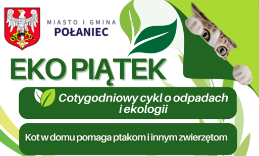 Zdjęcie do   Kot w domu pomaga ptakom i innym zwierzętom