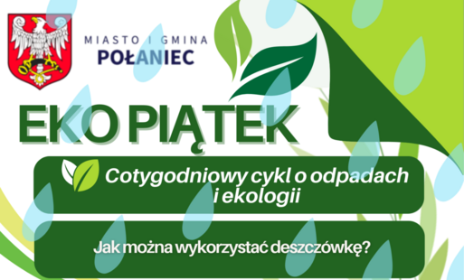 Zdjęcie do Jak można wykorzystać deszcz&oacute;wkę?