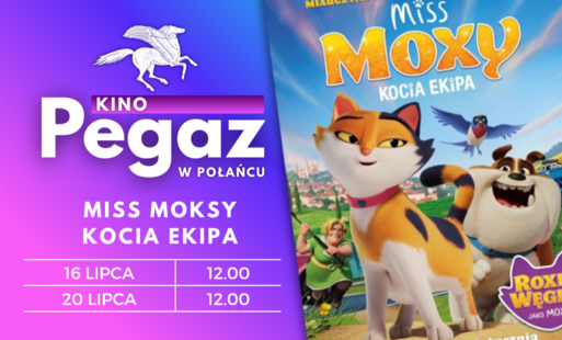 Zdjęcie do Kino - miss moxy - promocja
