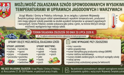 Zdjęcie do Możliwość zgłaszania szk&oacute;d spowodowanych wysokimi temperaturami w uprawach jagodowych i warzywach
