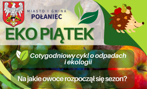 Zdjęcie do Na jakie owoce rozpoczął się sezon?