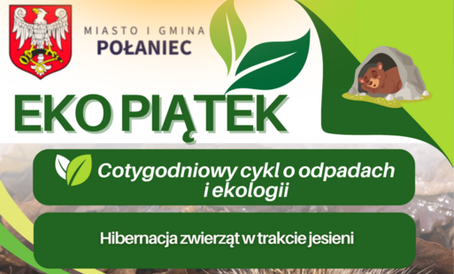 Zdjęcie do Hibernacja zwierząt w trakcie jesieni