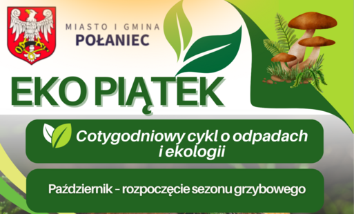 Zdjęcie do Październik &ndash; rozpoczęcie sezonu grzybowego