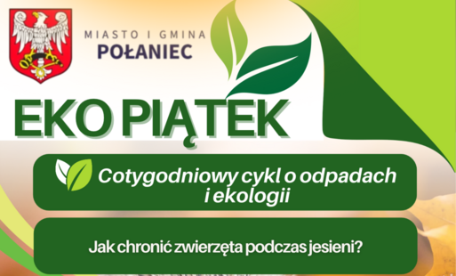 Zdjęcie do Jak chronić zwierzęta podczas jesieni?