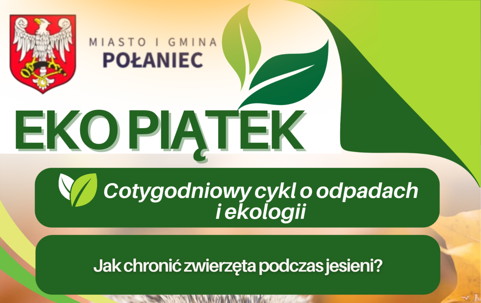 Zdjęcie artykułu z dnia 23-10-2026