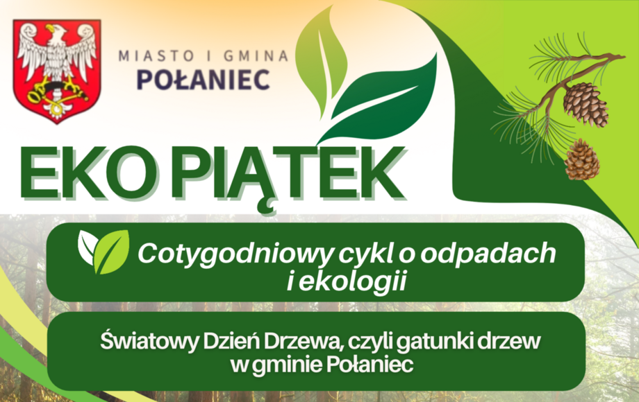 Światowy Dzień Drzewa w gminie Połaniec